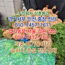 경북엘피지충전소 이미지