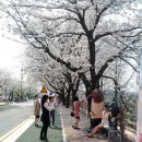 안동강변체육공원 축구장 네이버블로그