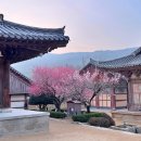 통도사 이미지