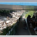 송화가든민박 이미지