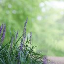 향기4로 이미지