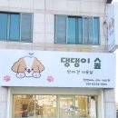 숲속애견샵 이미지