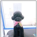 멍is뭔들 이미지