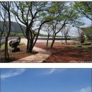 [제주도 관광지]제주도 꼭 가볼만한 곳 - 제주돌문화공원 이미지