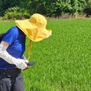 원주굽이길 14코스 흥업캠퍼스낭만길 이미지