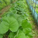 봉화랜드 이미지