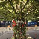 도그홀릭 | 파주 운정 애견카페 추천 쟈빠따 도그 후기