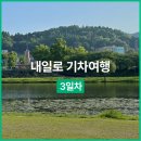 근대화통닭 | [3박 4일 내일로 기차여행] 아름다운 순천에서의 셋째 날