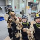 T마스터 태권도 이미지