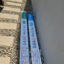 현관에 딱 맞는 맞춤형 롤 방충망! 영천시 완산동 설치 이야기