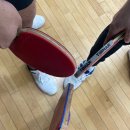 복합체육시설 탁구장 | 🏓 수원 영통복합체육센터 탁구장 시범운영 소식...체육관 초보 탁구모임 후기 (영통 근교 탁구장 추천)