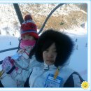 용인대 참 태권도장 이미지