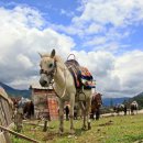 억척목장 이미지