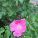 잠실공원 이미지