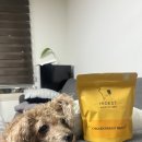 주식회사 하이제스트 | 장마철 산책못해 우울한 강아지, 프리미엄 특식 하이제스트 밀키트로 행복충전!