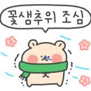 창원대방점BHC