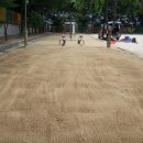 대구이곡초등학교 이미지