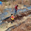 무열농장 이미지