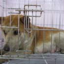 구평동-25 이미지