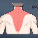 바디스 짐 이미지