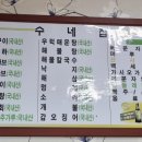 수네집가보자