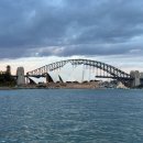 피자베이 수영점 | [시드니] 포트스테판 투어ㅣ돌핀크루즈 넬슨베이ㅣ샌드보딩 꿀팁ㅣ와이너리 투어