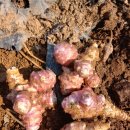 석원농장 이미지