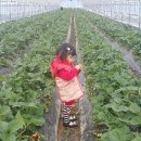 유창어린이집 이미지