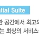 알리아마린 이미지