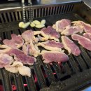 오리대가 Daum카페