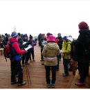 남산공원길1 이미지