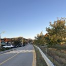 꾀꼬리산장 이미지