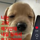 반하다노래짱 | 찬란했길 바라며