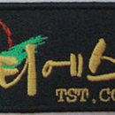 티에스티 티스토리