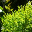 이발하기좋은날 이미지