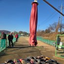 포곡파크골프장 | 판테온 파크베어 PB-500 파크골프채 사용후기(3) ㅡ 포곡파크골프장