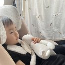 거제박물관 | 전 통영 먼저 내려가기/ 거제곤충생태체험관/ 거제곤충박물관/ 한화리조트 거제 벨버디어 후기 만족도♥️👍🏻