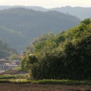 신덕마을 이미지