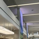 더카페 | 안국역 카페 더커피 후기 ☕ 서순라길 카페 &amp; 핑크 아이스 라떼 추천