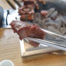 대교양고기 이미지