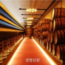 영동와인터널 와인레스토랑 Daum카페