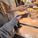 아,귀여워 | [고터 맛집] 따끈따끈한 폼폼푸린 베이커리 후기 귀여워 (ft. 웨이팅 시간, 매장 좌석, 빵, 굿즈)