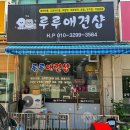 루루애견샵
