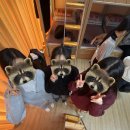 승리목장 | 끓는물에 손을 넣어보지는 않았지만 뜨거운줄은 원래 알고 있었고