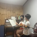 바이올린(야간) 이미지