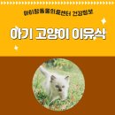 아이맘동물의료센터 이미지