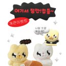 에이치앤에프