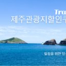 대한렌트카 이미지