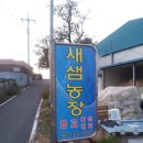 문병순농장 Daum카페