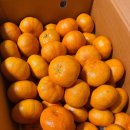 고랑몰랑 이미지